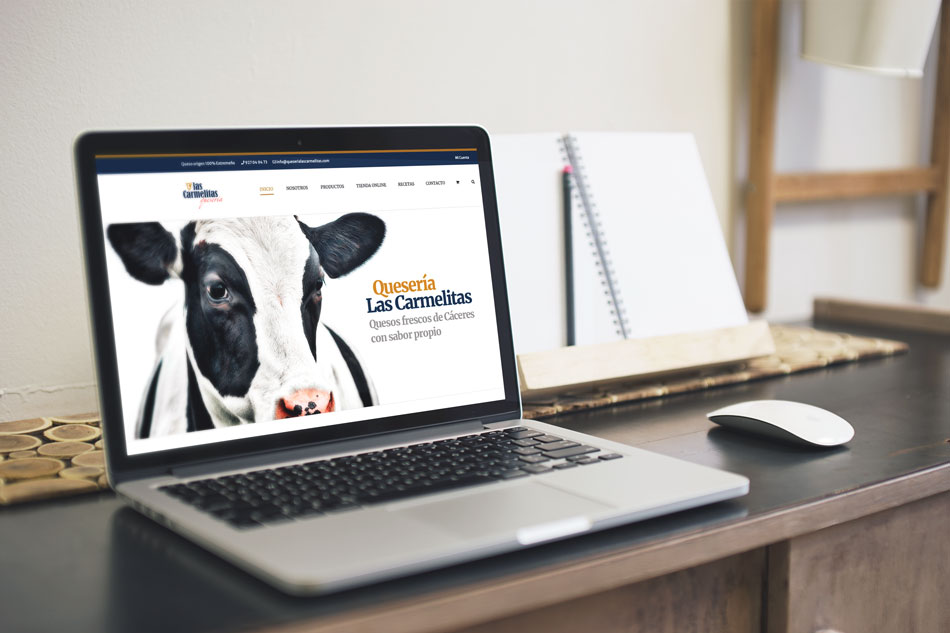 Diseño pagina web fábrica